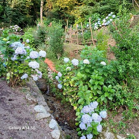 La Casetta Nel Verde Como Exterior foto