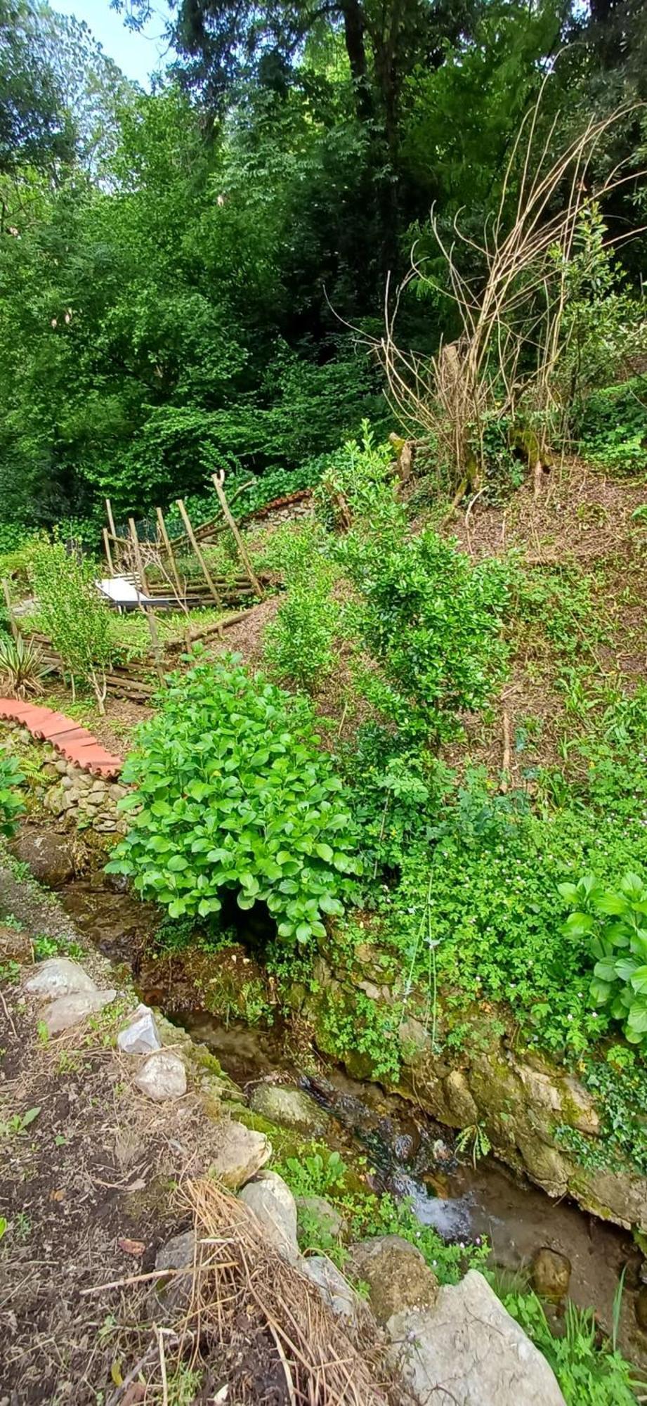 La Casetta Nel Verde Como Exterior foto